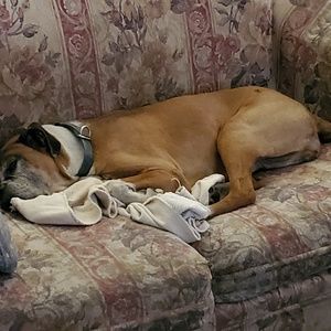 Meet your Posher, Andy